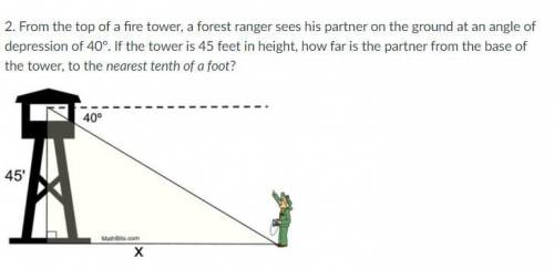 If the tower is 45 feet in height, how far is the partner from the base of the tower, to the neares