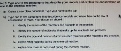 Step 5: Type one to two paragraphs that describe your models and explain the conservation of mass i
