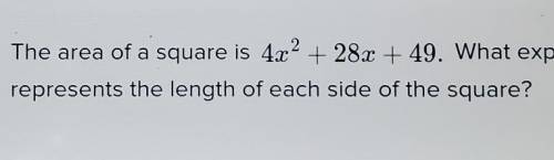 The area of a square is 4x^2 + 28x + 49. What expression represents the length of each side of the
