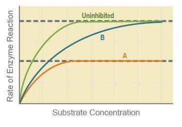 A graph shows substrate concentration on the x axis and rate of enzyme reaction on the y axis. Line