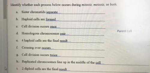 Identify whether each process below occurs during mitosis, meiosis, or both.