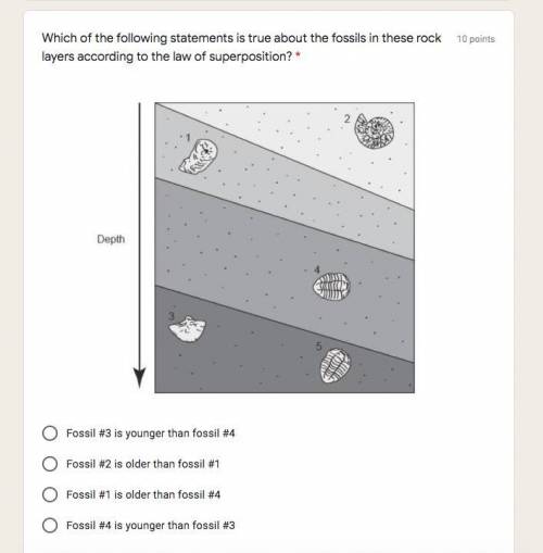 Which of the following statements is true about the fossils in these rock layers according to the l