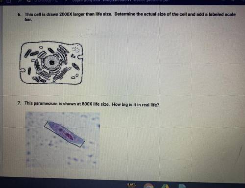 I need help with these 2 questions lol

This cell is drawn 2000x larger than life size. Determine