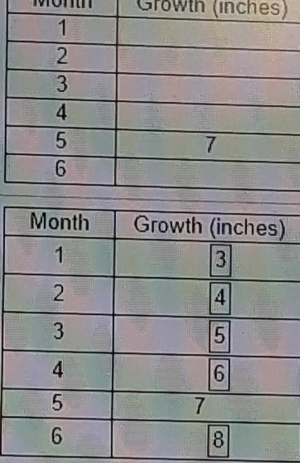 A plant grew 7 inches in 5 months. The plant grows the same amount each month. Use this rate to com