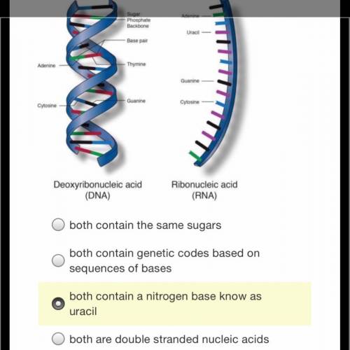 One similarity between DNA and mRNA is that they both ..... pls help !!!