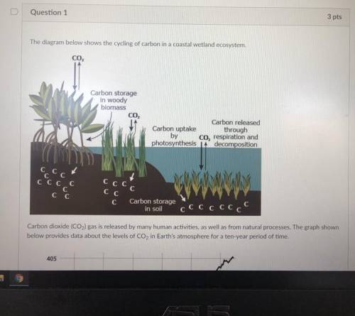 During select 1)photosynthesis

2)carbon dioxide
3)increase
4)decrease
Plant take in 
The atmosphe