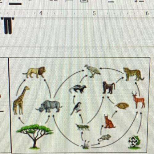 1. List the producers in this food web.

2.List the primary consumers in this food web. 
3. List t