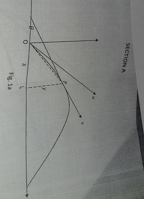 *

LFig. laA projectile is launched with velocity u at an angle a to the horizontal. After time t
