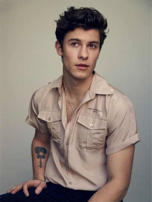 I will give brainliest to first person who answers my question.

Anyone here think shawn mendes so