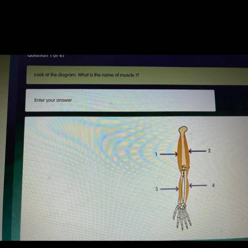 Look at the diagram. What is the name of muscle 1?
Enter your answer
2
4