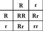 PLZ HELP ME

The following Punnett Square shows a cross between two hybrid flowers. If the flowers