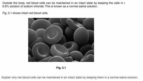 Explain why red blood cells can be maintained in an intact state by keeping them in a normal saline