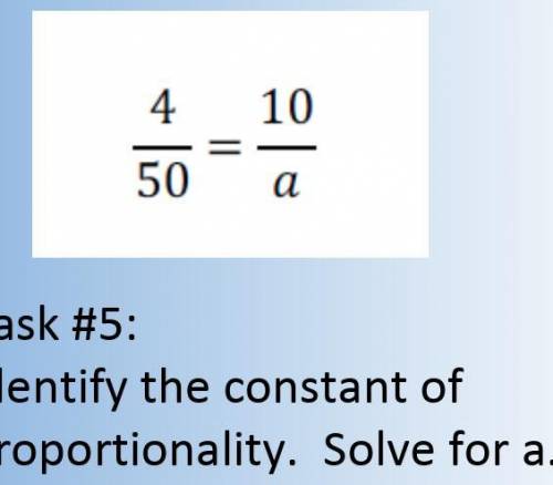 Can someone help me with these questions?
