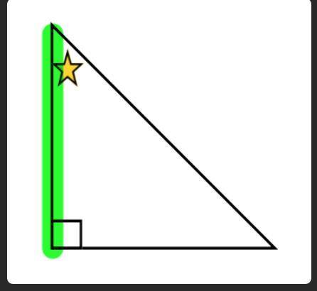 What is the green side labelled as from the starred angle? Help ASAP