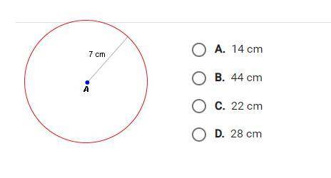 What is the approximate circumference of the circle shown below

will mark brainliest for best ans