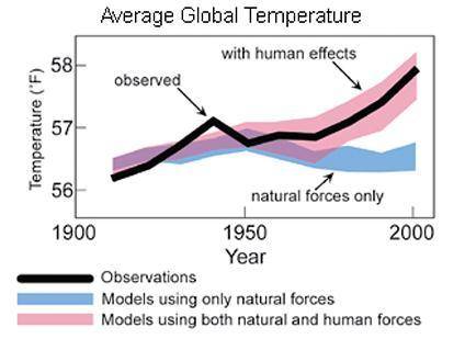 Explain how natural forces and human effects affect the observed global temperature (black line) in