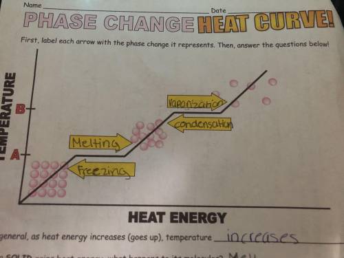 I need help pleasee

6. Where on the graph does adding heat energy NOT raise the temperature?
What