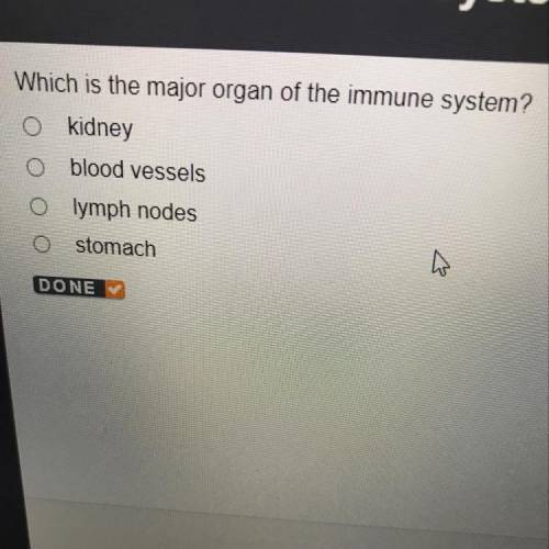 Which is the major organ of the immune system?

O kidney
O blood vessels
Olymph nodes
O stomach