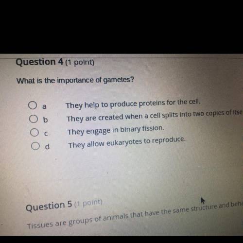What is the importance of gametes?

A. They help to produce proteins for the cell.
B. They are cre