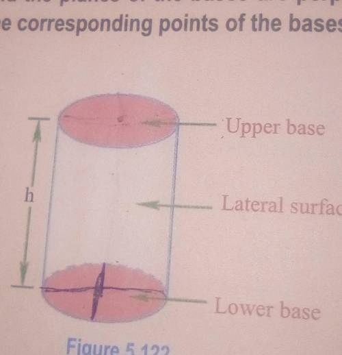how bases of the cylinder are perpendicular to the line joining the corresponding points of the bas