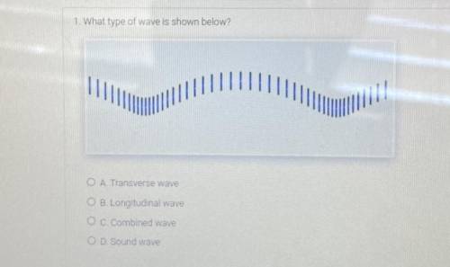 WHAT TYPE OF WAVE IS SHOWN? (view picture)

A) Transverse Wave
B) Longitudinal Wave
C) Combined Wa