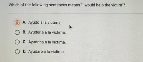 Which of the following sentences means I would help the victim?