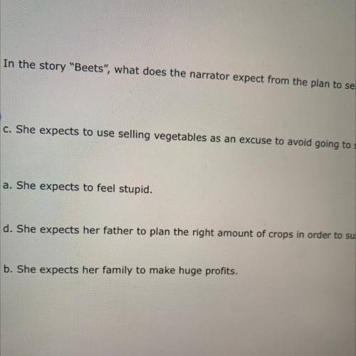 In the story Beets, what does the narrator expect from the plan to sell vegetables from door to d