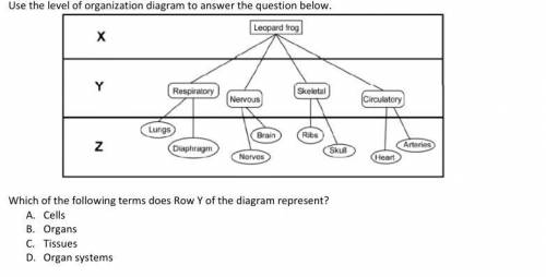 Use the level of organization diagram to answer the question

below. 
choices: A.CellsB.OrgansC.Ti