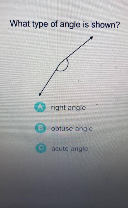 What type of angle is shown?