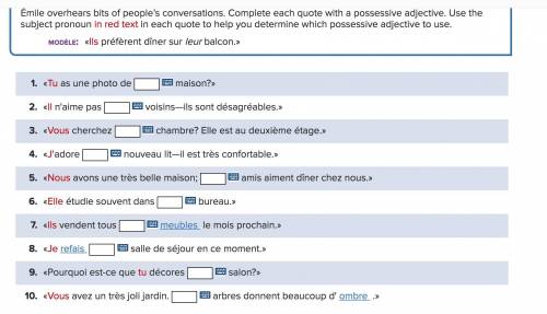 Les adjectifs possessifs

Émile overhears bits of people’s conversations. Complete each quote with