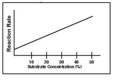 The graph below represents the effect of enzyme concentration on the reaction rate.

Based on this