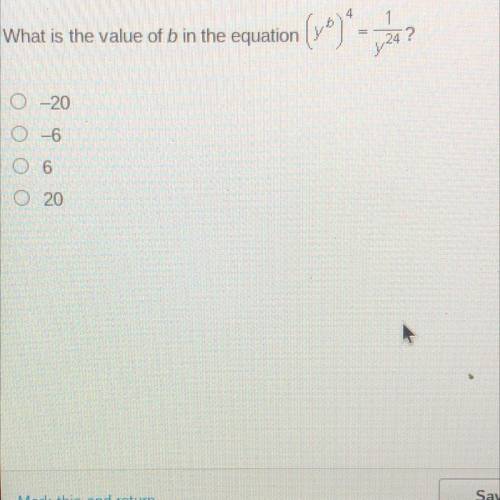 What is the value of b in the equation (y^ b ) ^ 4 = 1 v^ 24 -20 6 20