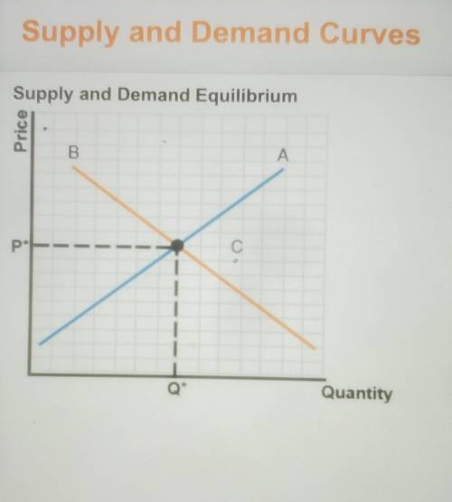 Supply and Demand Equilibrium Match each term with the correct part of the graph.

A, B, OR CDeman