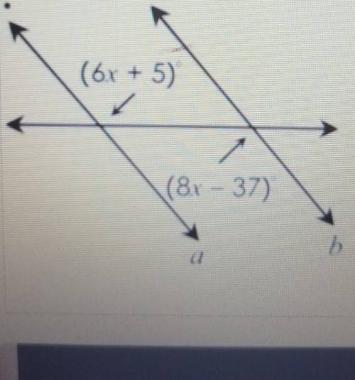 Pls help with find the value of x