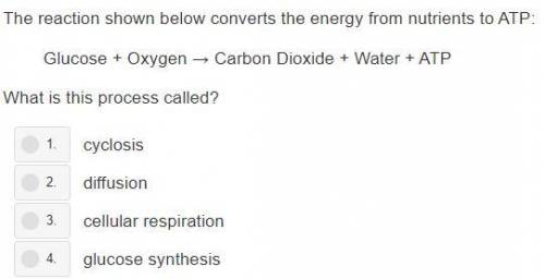 The reaction show below converts the energy from nutrients to ATP. What is this process called?