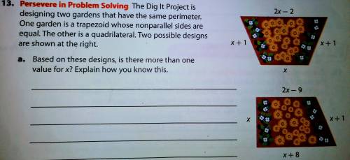 Could someone please help me with this Math problem, Thank you.

The Dig It Project is designing t