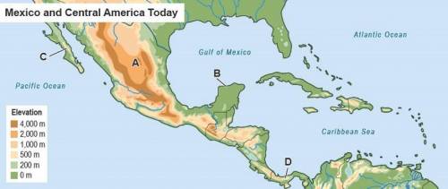 Review the map.

Which letter on the map identifies the Mexican Plateau?
A
B
C
D