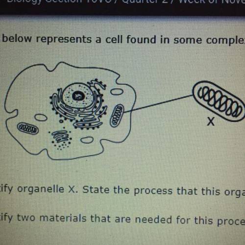 The diagram below represents a cell found in some complex organisms. The enlarged section represent