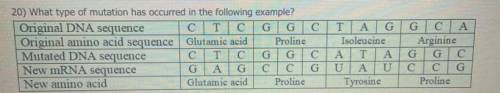 What type of mutation has occurred in the the following example?

A.) frameshift mutation (due to
