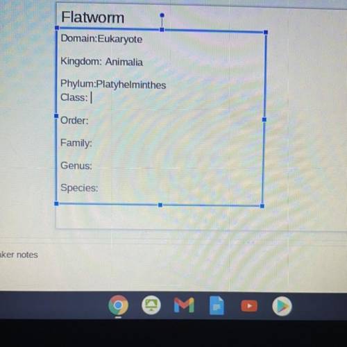 TAXONOMY of FLATWORMS

 
Fill out the blank ones which are 
Class: ____
Order:_____
Family:______
G