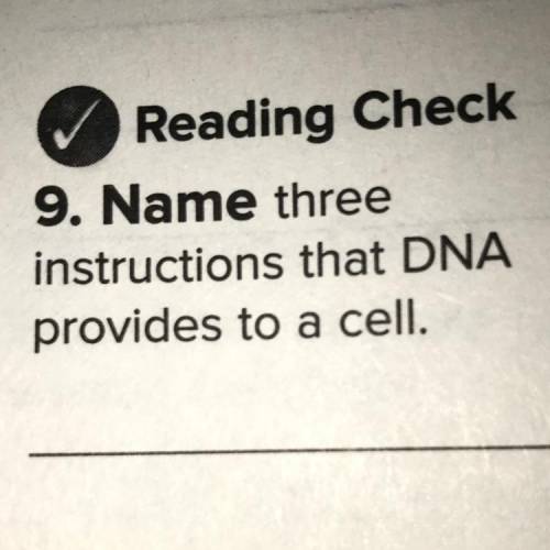 Name three instructions that DNA provides to a cell