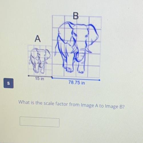Help please this is for a math quiz and i’ll give brainliest