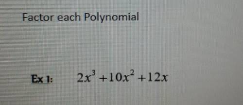 Factor each Polynomial