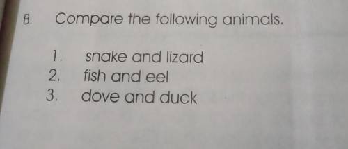 B.Compare the following animals.1. snake and lizard2. fish and eel3. dove and duck