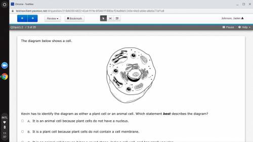 The diagram below shows a cell.

60027Kevin has to identify the diagram as either a plant cell or