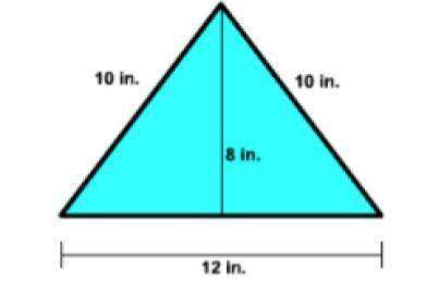 The area of the triangle is
square inches.
fill in the blanks