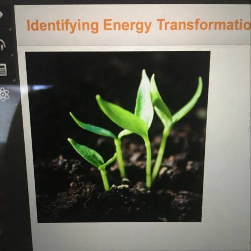 What is one energy transformation that is taking place

in the photo ?
radiant energy to thermal e