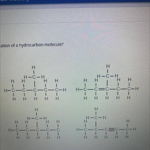 Which structure is a valid representation of a hydrocarbon molecule?