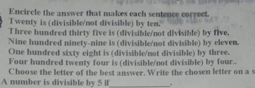 20 pts Divisible or not divisible
