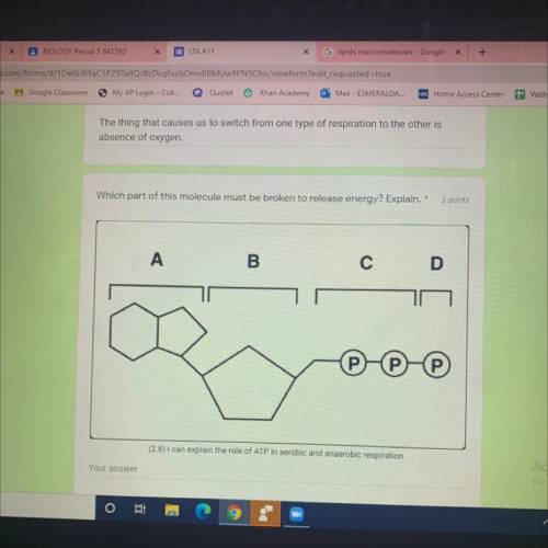 Which part of this molecule must be broken down to release energy?